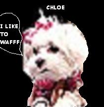 Chloe